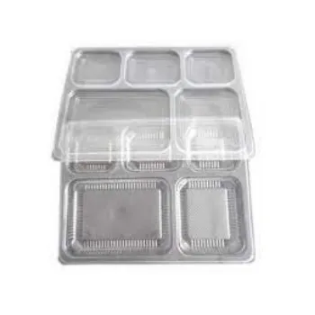  Disposable Food Tray